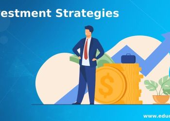 Balancing Risk and Reward: Long-Term Investment Strategies for Sustainable Growth