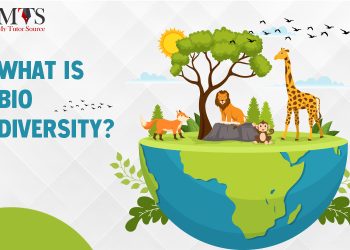 Biodiversity at Risk: How Human Activity Shapes the Fate of Ecosystems