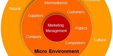 Navigating Uncertainty: How Shifting Market Environments Reshape Global Business Strategies