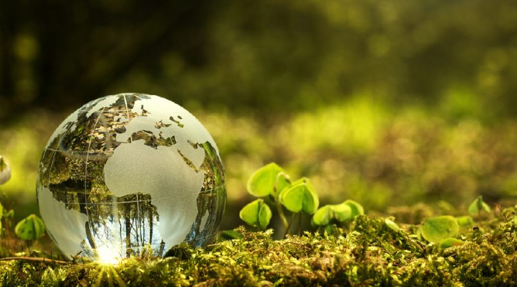 Harmony in Progress: Rethinking Development for a Sustainable Coexistence with Nature