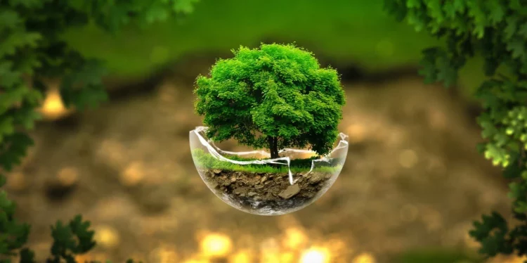 Bridging the Divide: Cultural, Technological, and Policy Pathways to Human–Nature Coexistence