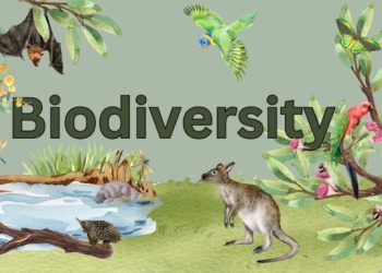 Guardians of Life: Why Biodiversity Matters for Ecosystem Stability and Human Survival