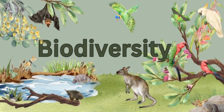 Guardians of Life: Why Biodiversity Matters for Ecosystem Stability and Human Survival