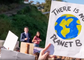 Green Transitions: How Climate Policies Are Reshaping Global Economies