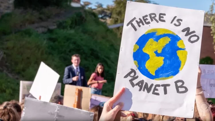 Green Transitions: How Climate Policies Are Reshaping Global Economies