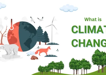 Innovating for Survival: The Role of Technology in Combating Climate Change