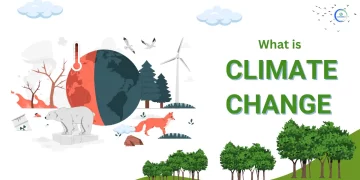 Innovating for Survival: The Role of Technology in Combating Climate Change