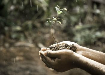 Harmony Reimagined: A Historical Perspective on Humans and Nature