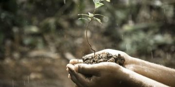 Harmony Reimagined: A Historical Perspective on Humans and Nature