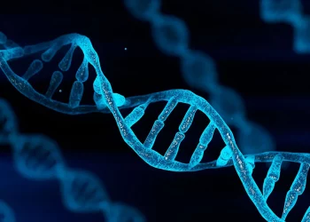 The Biotechnology Renaissance: How Gene Editing is Transforming Human Aging and Health
