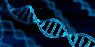 The Biotechnology Renaissance: How Gene Editing is Transforming Human Aging and Health