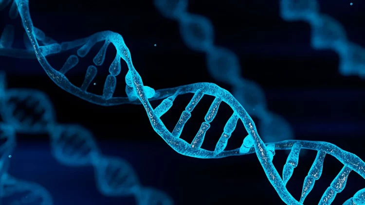 The Biotechnology Renaissance: How Gene Editing is Transforming Human Aging and Health