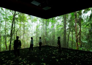 A Journey Through the Digital Museum: Exploring Cloud Exhibitions and Interactive Experience