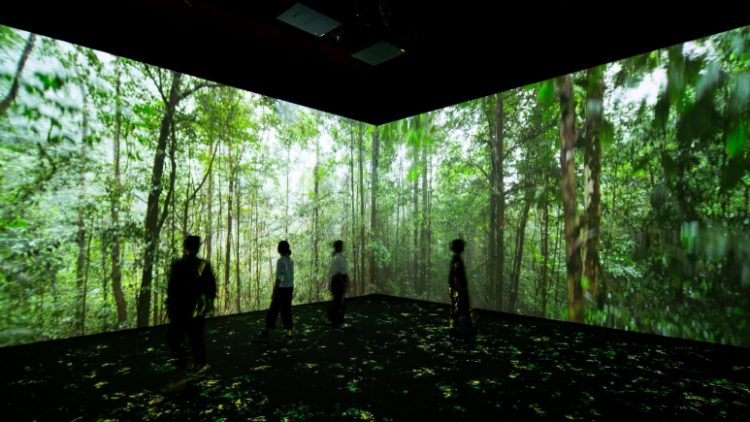 A Journey Through the Digital Museum: Exploring Cloud Exhibitions and Interactive Experience