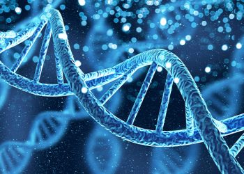 Beyond Mortality: Imagining Human Civilization in the Age of Genetic Longevity