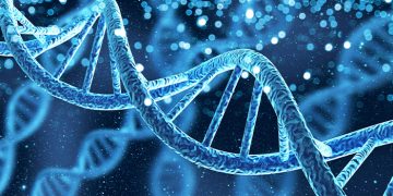 Beyond Mortality: Imagining Human Civilization in the Age of Genetic Longevity