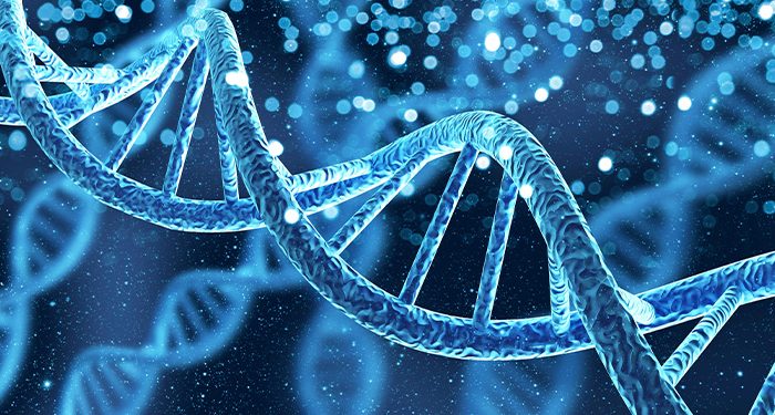 Beyond Mortality: Imagining Human Civilization in the Age of Genetic Longevity